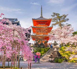 (TOUR NHẬT BẢN) OSAKA – KOBE – KYOTO – NAGOYA – YAMANASHI – TOKYO 