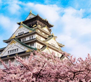 (TOUR NHẬT BẢN) OSAKA – KOBE – KYOTO – NAGOYA – YAMANASHI – TOKYO 