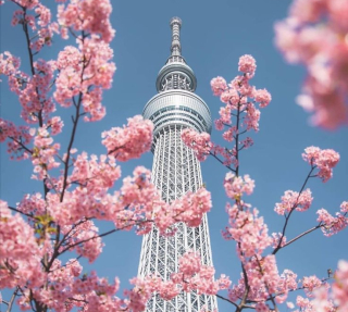 TP. Hồ Chí Minh – Tokyo – Núi Phú Sỹ – Kyoto – Osaka 6 ngày 5 đêm