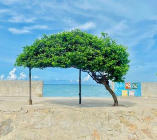 HỒ CHÍ MINH - ĐẢO PHÚ QUÝ 3N2D
