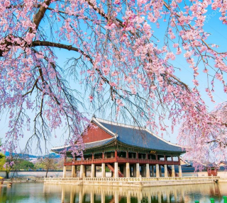 TP. HCM – SEOUL - ĐẢO NAMI - EVERLAND THÁP TRUYỀN HÌNH NAMSAN - ĐẠI HỌC NỮ EWHA 5N4D
