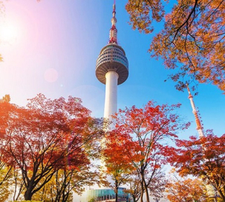 TP. HCM – SEOUL - ĐẢO NAMI - EVERLAND THÁP TRUYỀN HÌNH NAMSAN - ĐẠI HỌC NỮ EWHA 5N4D