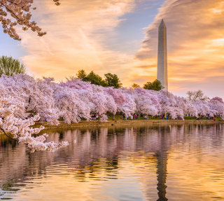 (BỜ ĐÔNG HOA KÌ) NEW YORK – PHILADELPHIA – WASHINGTON DC