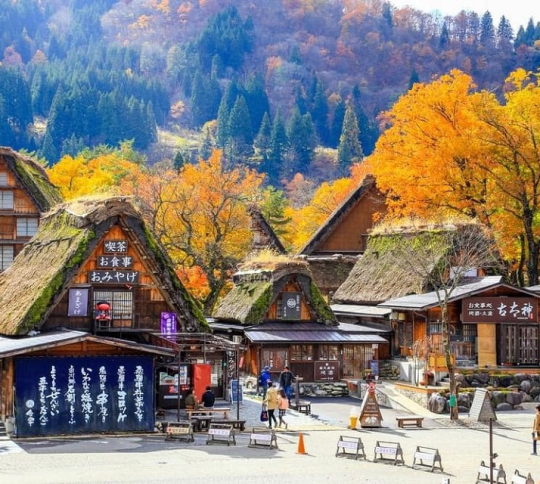 TP. Hồ Chí Minh – Tokyo – Núi Phú Sỹ – Kyoto – Osaka 6 ngày 5 đêm