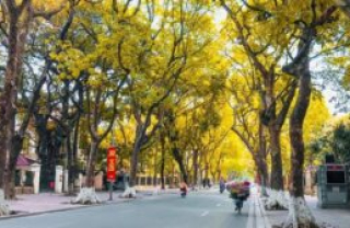 TRAFFICE IN HANOI AND WHAT IS THE BEST TIME TO VISIT HANOI