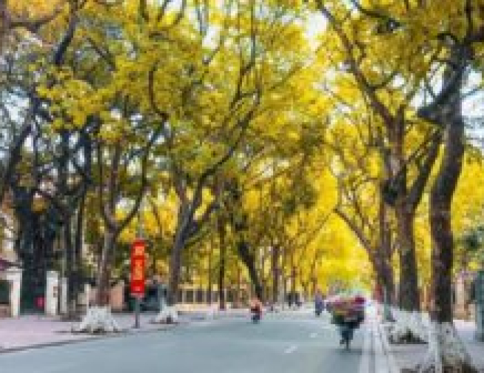 TRAFFICE IN HANOI AND WHAT IS THE BEST TIME TO VISIT HANOI