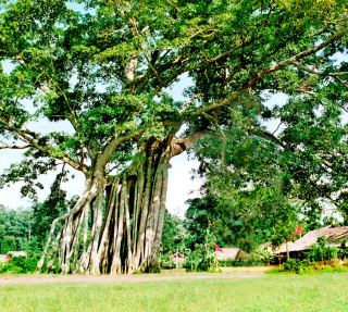 TP. HỒ CHÍ MINH – HÀ GIANG – ĐỒNG VĂN - CAO BẰNG THÁC BẢN GIỐC - BẮC KẠN - HỒ BA BỂ 5N4D